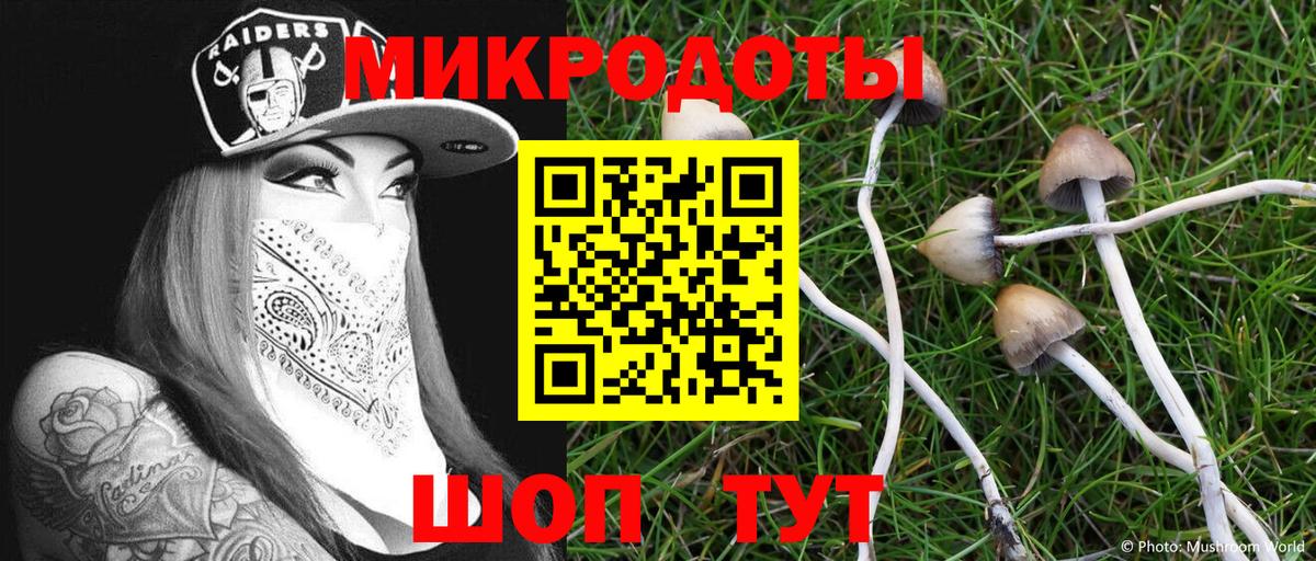 Галлюциногенные грибы Psilocybine cubensis  Псилоцибиновые грибы Cubensis  Вход с VPN  Сегежа 